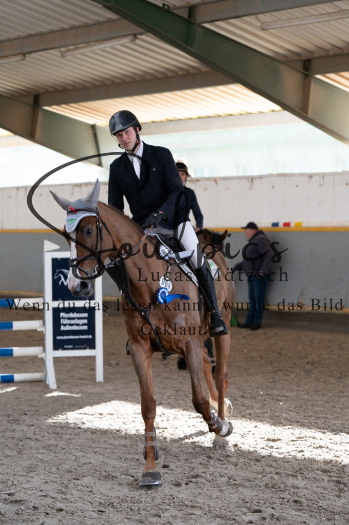 A7V02311 | Pferdefotograf