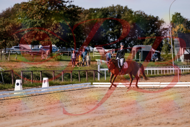 2026_10_03_Siefer-Hof_114038_Z81_83090451 | Professionelle Reitsport-, Turnier- und Eventfotografie von Robert Broda. Galerien mit ausgewählten und bearbeiteten Bildern direkt online ansehen und bestellen.