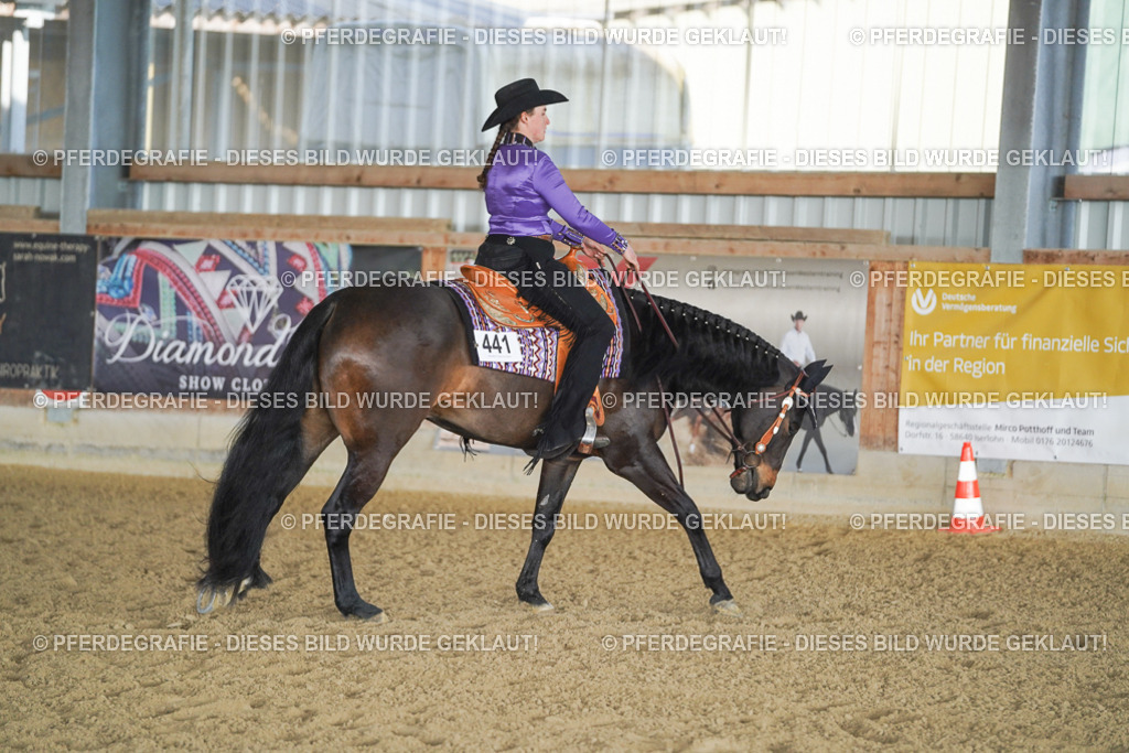 DSC08993 | Pferdegrafie