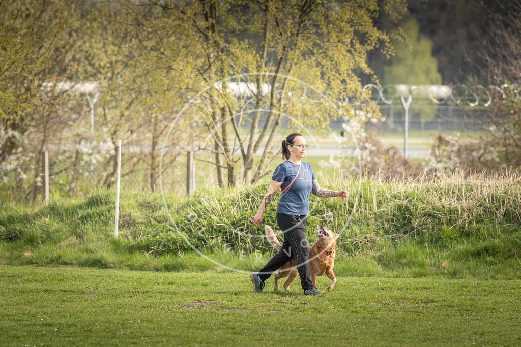 Pfotenfotografie_DV3A4978 | Hundefotografie, Tierfotograf, Pfotenfotografie, Fotoshooting Hund, Hunde Portrait, Hundesport, Hundeportraits, Heideshooting, Hunde, Sportfotograf, Hundefotograf, Turnierhundsport, THS,  - Realisiert mit Pictrs.com