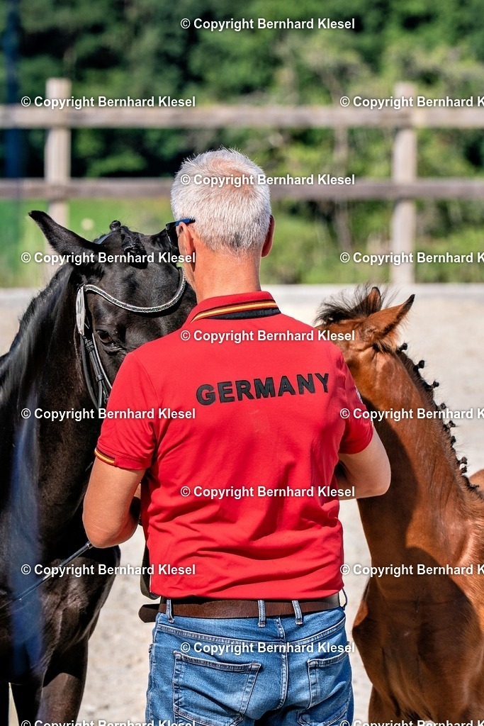 2A906601 | foto-team-bernhard - Realisiert mit Pictrs.com