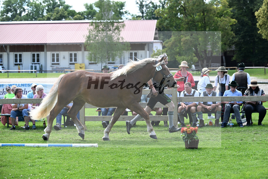 Kat-Nr. 75 Melodie v. Voithberg_Ober_22241328 | hf-fotografie - Realizzato con Pictrs.com