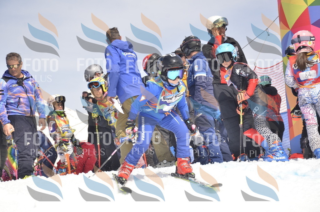 _ELE8539 | holidayphoto