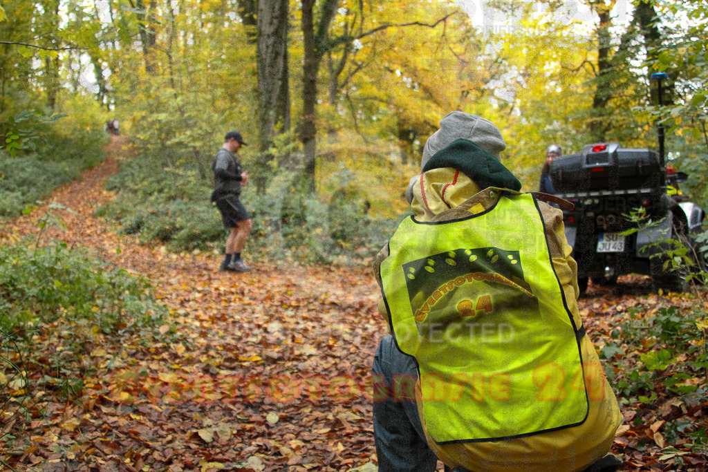 251026_1421_EV4_7115 | Sportfotografie im Rhein-Sieg Kreis, Köln, Bonn, NRW, Rheinland Pfalz, Hessen, etc. Unser Tätigkeitsfeld umfasst den Laufsport vom Volkslauf über den Marathon, Duathlon, Triathon bis zum Ultralauf wie Kölnpfad Ultra oder Schindertrail.