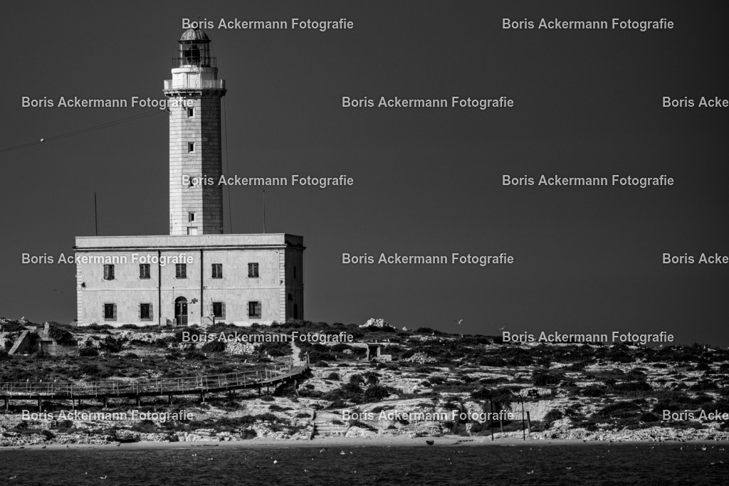 20230703-7J9A1283 | Handsignierte Unikate in Museumsqualität aus dem Oberwallis. Bergfotograf Boris Ackermann – Fine Art Prints auf Hahnemühle & Alu-Dibond. Fee Galerie Saas-Fee.