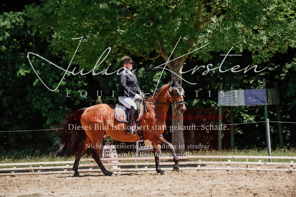 DSC_2024 | Pferde- und Turnierfotografie in Westsachsen. Pferdeportraits, Auftragszeichnungen und intuitive Kunst.