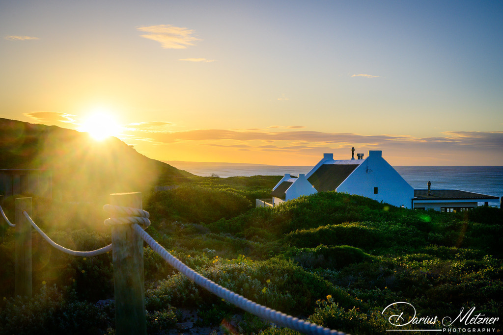 _DSC2430 | Fotografien, Fotos und Bilder aus Mainz, Frankfurt, Wiesbaden und anderen Orten auf der Welt - Fotografiert von Darius Metzner