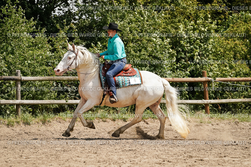 DSC09643 | Pferdegrafie