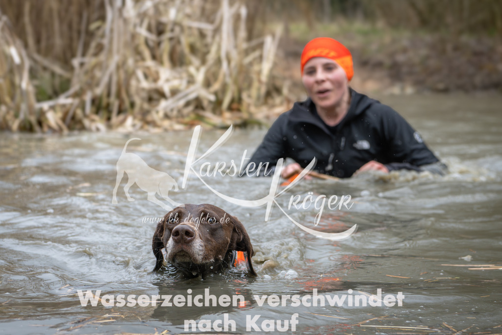 1404_ZZ96191 | kk-dogfotos
