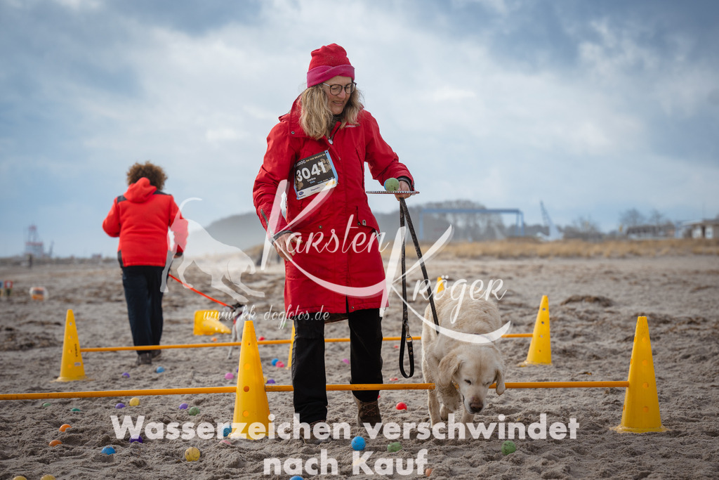 1209_ZZ94395 | kk-dogfotos