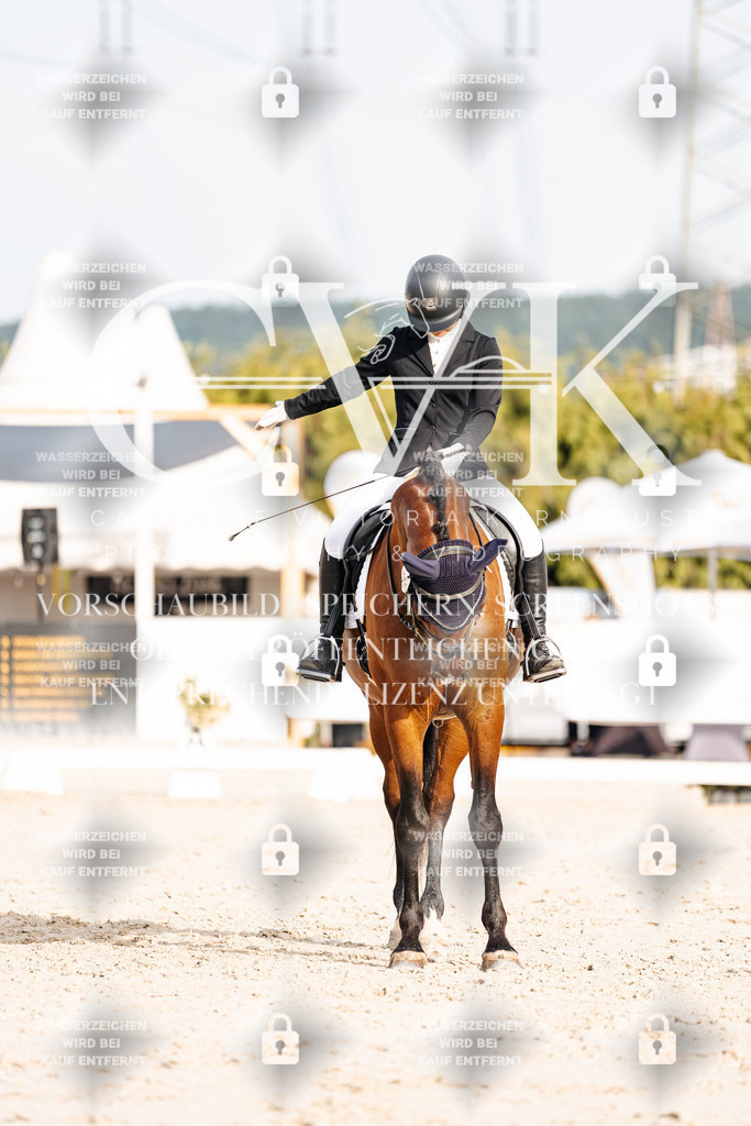 CK904119 | Turnierfotografie Pferdefotografie Trier Rheinland-Pfalz Pferdesport Reitsport Tierfotografie Sportfotografie Pferdevideo Pferdevideografie Equestrianvideography equestrianphotography  - Realisiert mit Pictrs.com