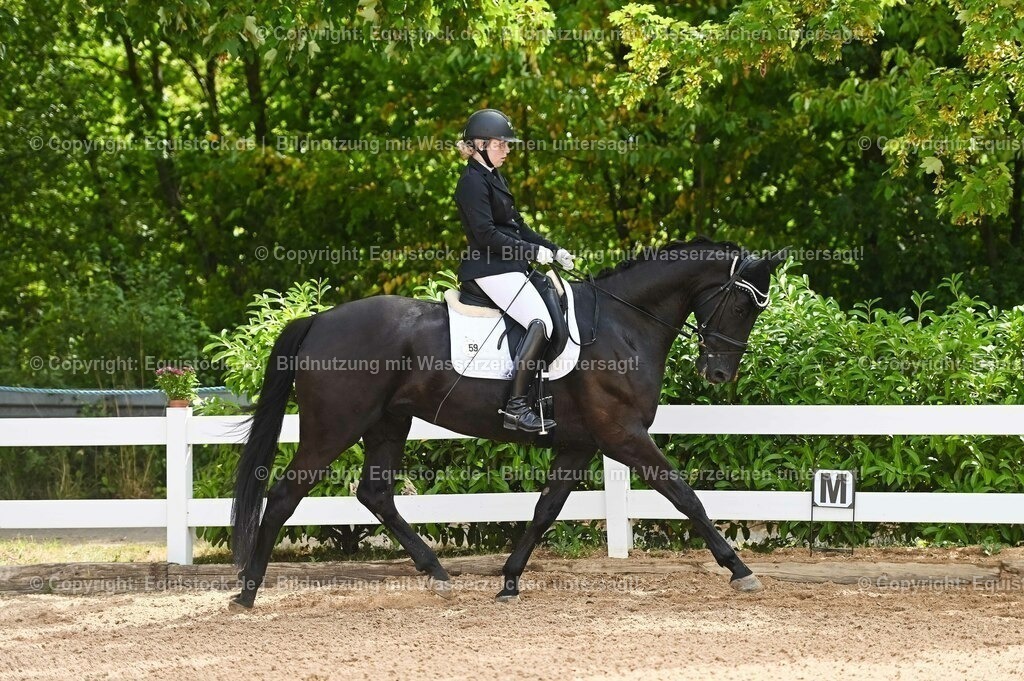 20230715_07_Dressurpferdeprfg. Kl.L_0141 | equistock