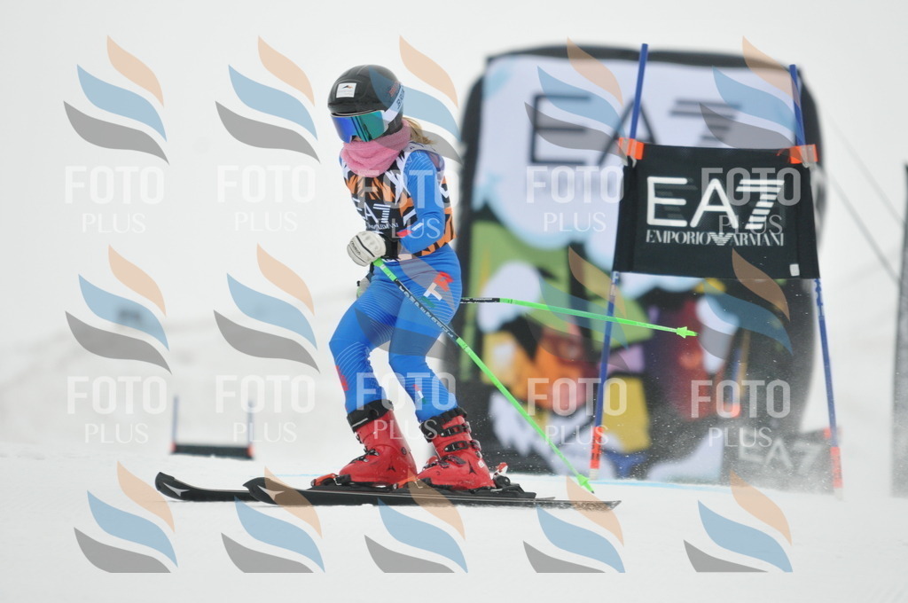 DSC_7380 | holidayphoto