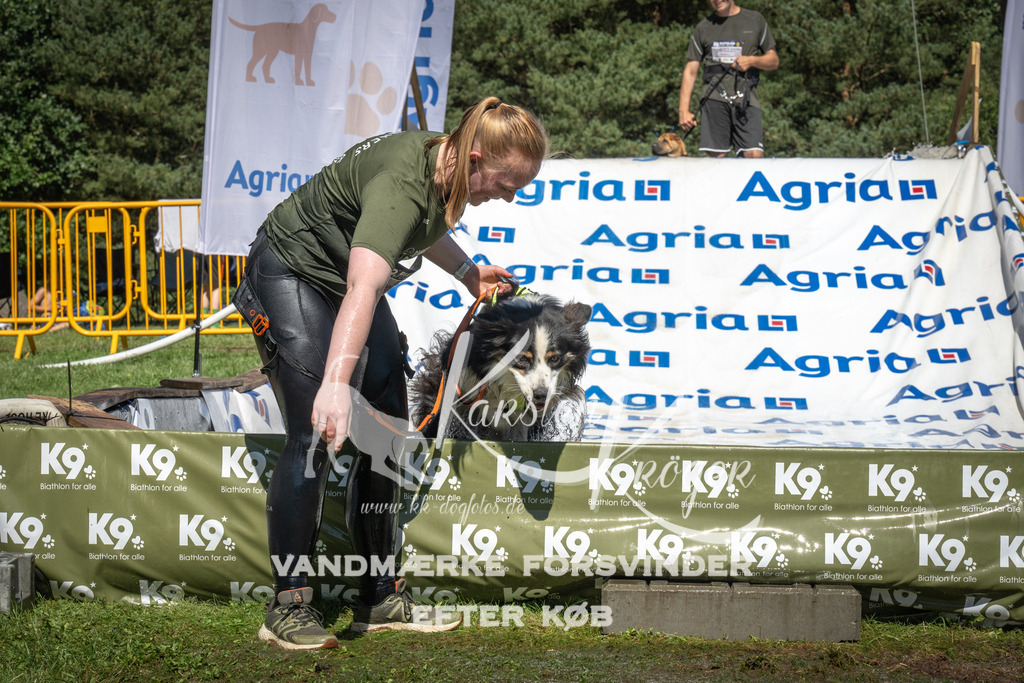 1456_ZZ96474 | kk-dogfotos