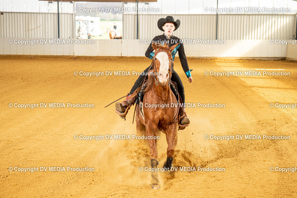 MIT00802 | dv-media-shop - Realisiert mit Pictrs.com