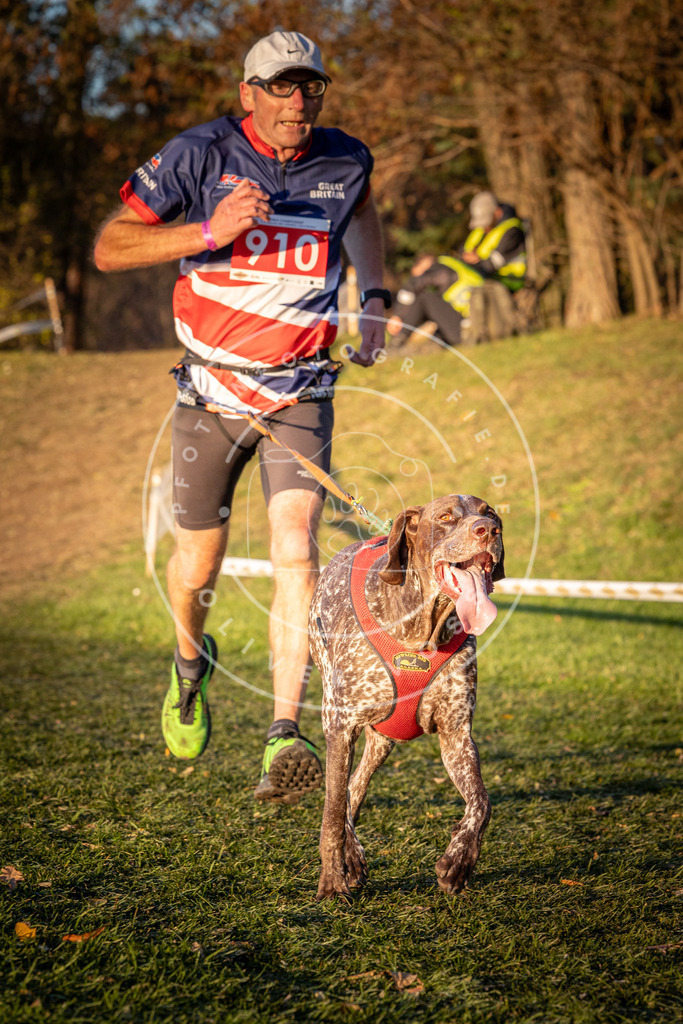 CaniXpix_0L8A1488 | Hundefotografie, Tierfotograf, Pfotenfotografie, Fotoshooting Hund, Hunde Portrait, Hundesport, Hundeportraits, Heideshooting, Hunde, Sportfotograf, Hundefotograf, Turnierhundsport, THS,  - Realisiert mit Pictrs.com