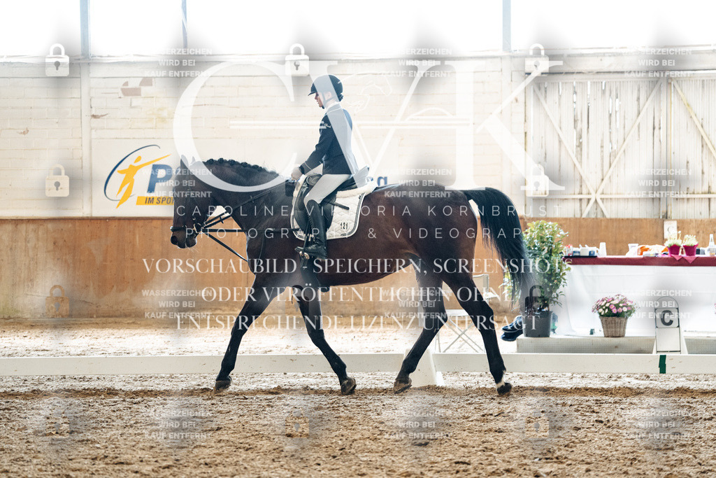 CK900146 | Turnierfotografie Pferdefotografie Trier Rheinland-Pfalz Pferdesport Reitsport Tierfotografie Sportfotografie Pferdevideo Pferdevideografie Equestrianvideography equestrianphotography  - Realized with Pictrs.com