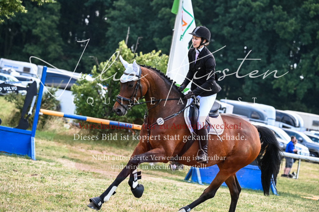 DSC_8060 | Pferde- und Turnierfotografie in Westsachsen. Pferdeportraits, Auftragszeichnungen und intuitive Kunst.