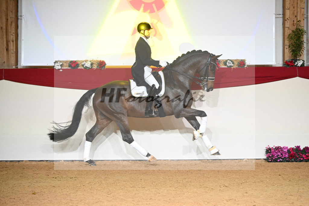 Knock Out_1234892 | hf-fotografie - Realisiert mit Pictrs.com