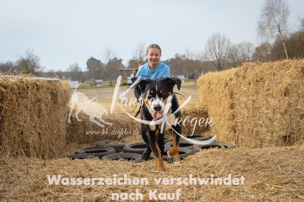 1036_ZZ96585 | kk-dogfotos