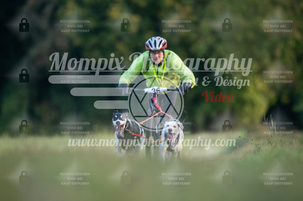 CDLBDB_15_10_2023_Dimanche-68 | mompixphotography