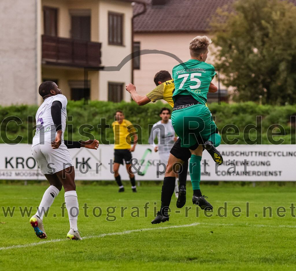 2023-08-09_019_FC_Moosinning_II_gegen_SpVgg_Altenerding | Moosinning, Deutschland, 09.08.2023:
Fußball, Kreisliga 2023 / 2024, 3. Spieltag, FC Moosinning II gegen SpVgg Altenerding, Endergebnis: 1:1

Ridwan Bello (SpVgg Altenerding, #5), Benedikt Thumbs (FC Moosinning, #10), Torwart Lukas Loher (SpVgg Altenerding, #75)

Foto: Christian Riedel / fotografie-riedel.net