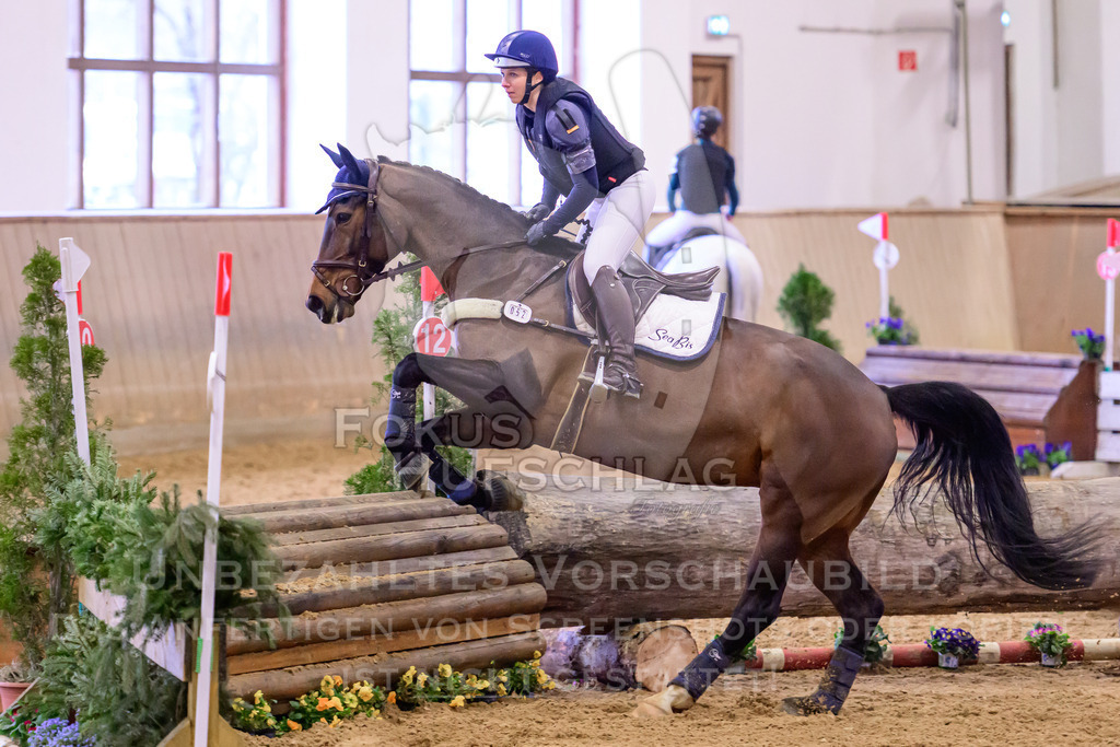 29032026-Schwaiganger-Prfg03-2-0817 | Fokus Hufschlag Fotografie - Realisiert mit Pictrs.com