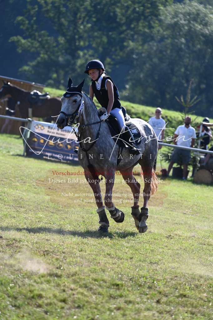 DSC_5386 | Pferde- und Turnierfotografie in Westsachsen. Pferdeportraits, Auftragszeichnungen und intuitive Kunst.