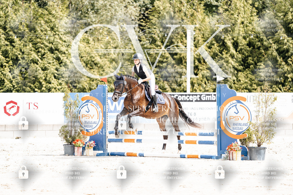 CK906331 | Turnierfotografie Pferdefotografie Trier Rheinland-Pfalz Pferdesport Reitsport Tierfotografie Sportfotografie Pferdevideo Pferdevideografie Equestrianvideography equestrianphotography  - Realisiert mit Pictrs.com