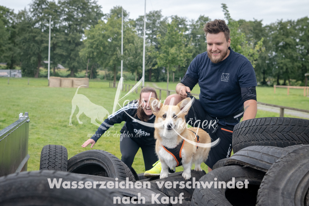 1242_ZZ91973 | kk-dogfotos