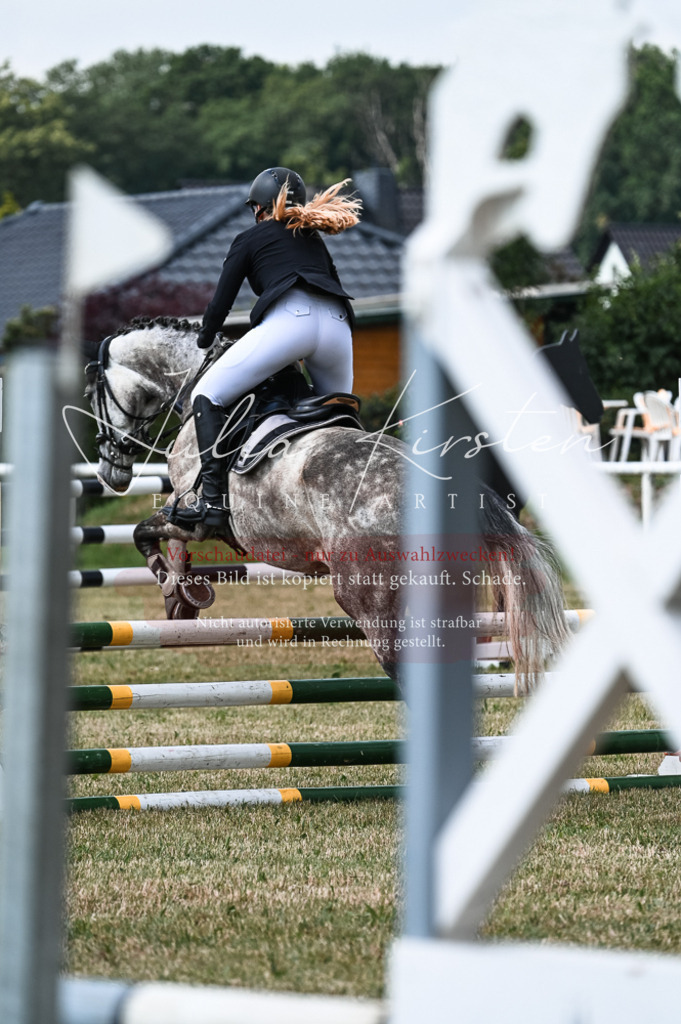 DSC_8930 | Pferde- und Turnierfotografie in Westsachsen. Pferdeportraits, Auftragszeichnungen und intuitive Kunst.