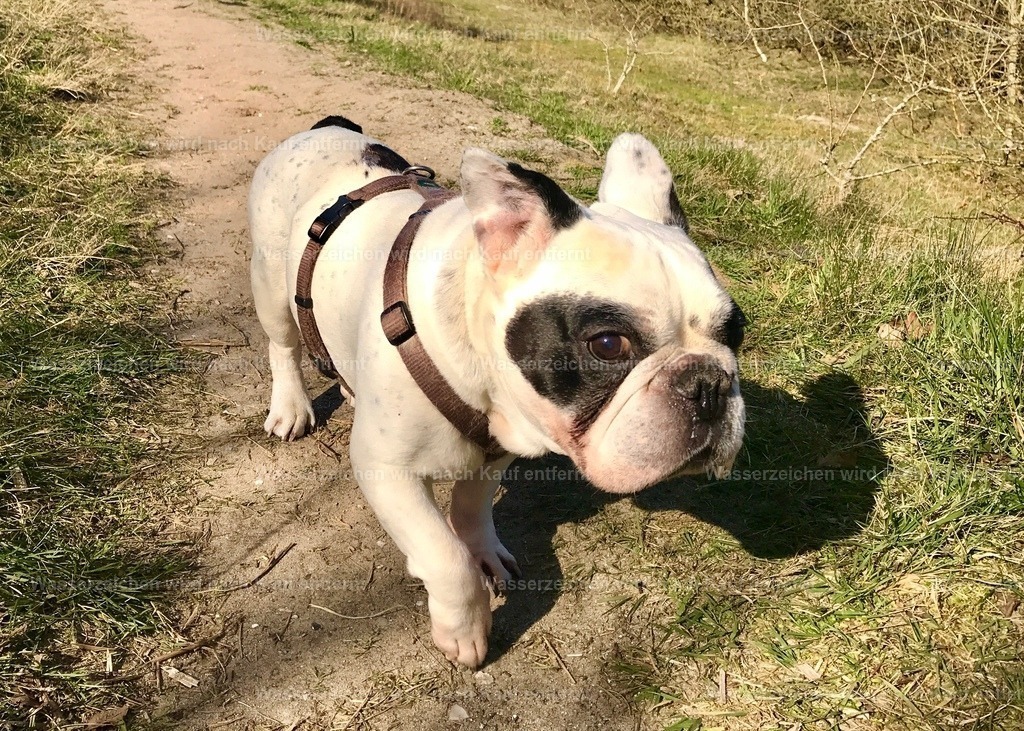 IMG_8856 | heikomoeller - Realisiert mit Pictrs.com