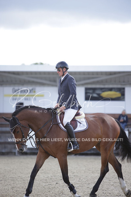 1J2A6118Andreas Erni_ D_Olympic L.A. Z_ Kn349_ Havekost | Foto- und Videografie für alles rund ums Pferd. Hochwertige Bilder und Videos vom Spring- und Dressurreiten, Voltigieren & mehr. Jetzt aktuelle Veranstaltungen und Preise im Shop ansehen. - Realisiert mit Pictrs.com