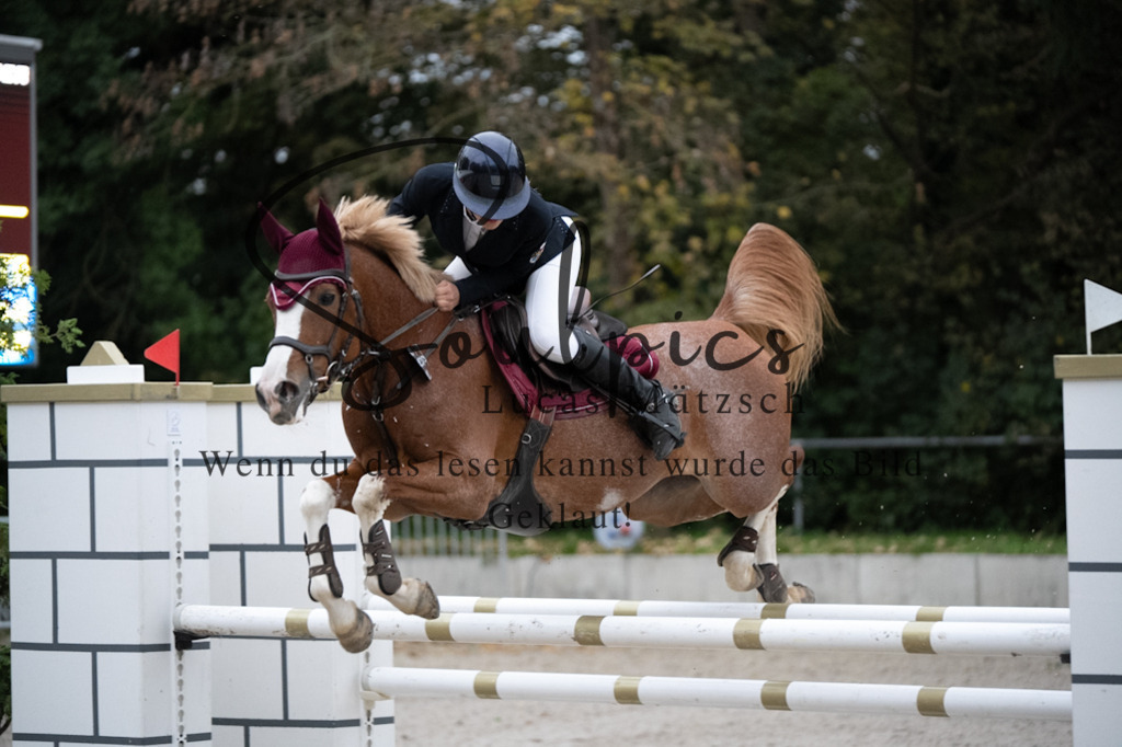 A7V08897 | Turnier/Reitfotograf