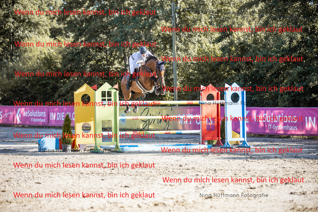 BK1A8646 | Turnierbilder Turnierfotos Nina Hüffmann Turnierfotografie Pferdefotografie Tierzeichnung Haustierzeichnung Pferdezeichnung Hundezeichnung Videograf  - Realisiert mit Pictrs.com