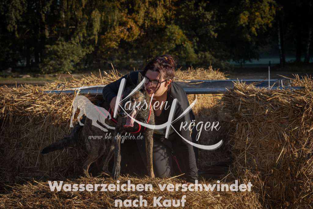 0933_ZZ93652 | kk-dogfotos