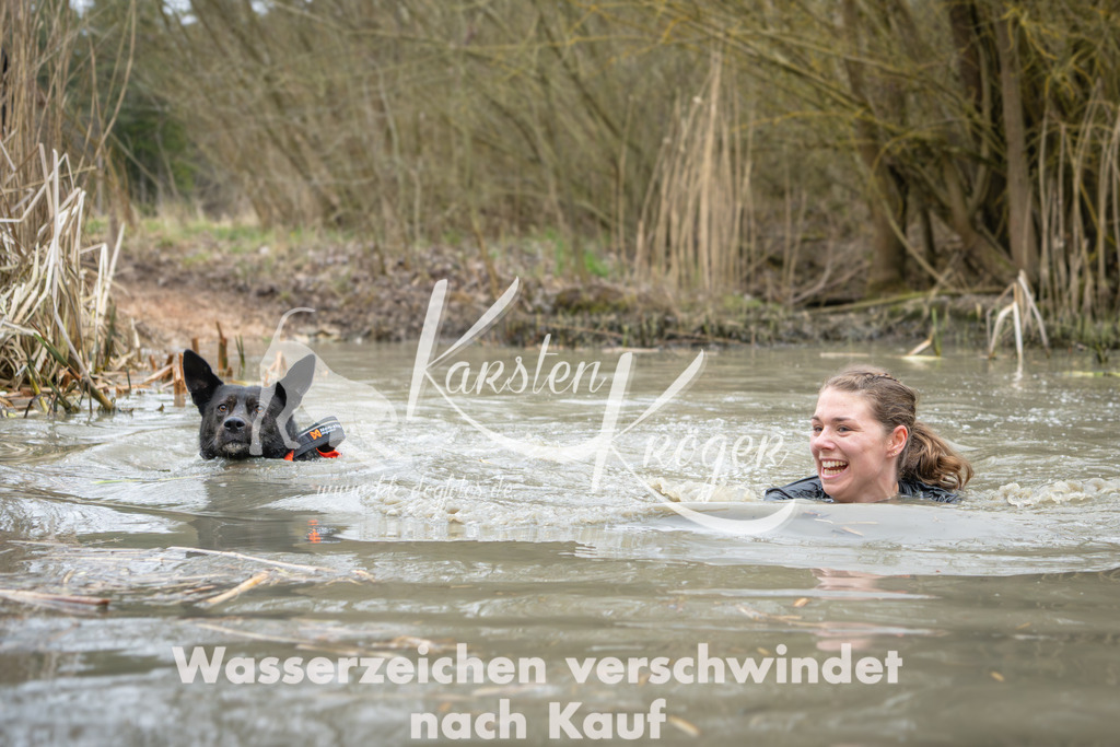 1346_ZZ92613 | kk-dogfotos