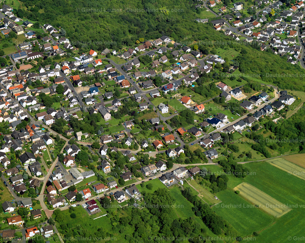 3120773 | Dattenberg