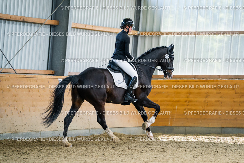 DSC05953 | Pferdegrafie