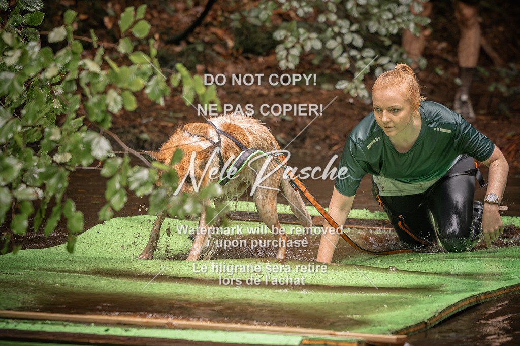 nelerasche_Wingst_Sa1330-1400_374 | nelerasche