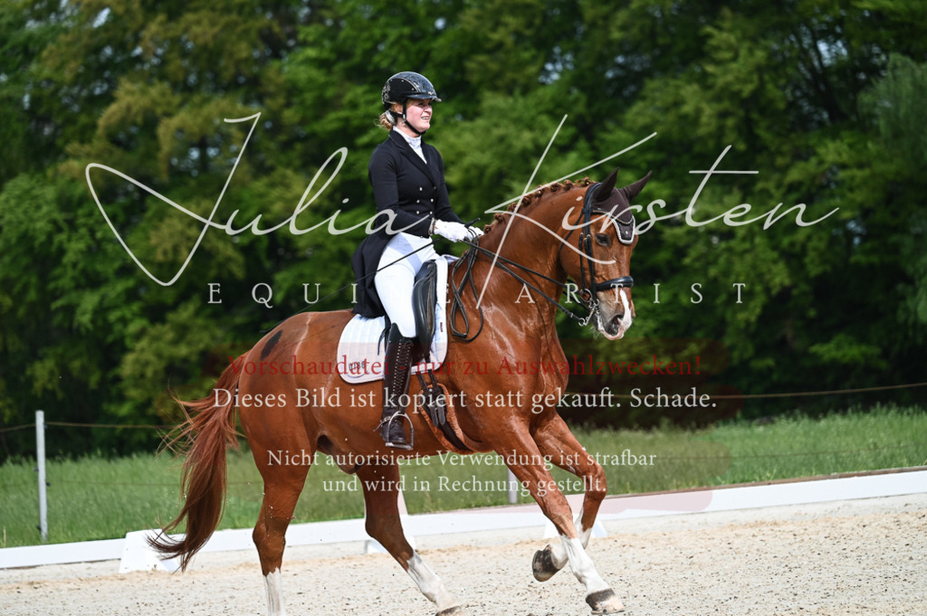 20230513_JK-Röhrsdorf-12-357-2 | Pferde- und Turnierfotografie in Westsachsen. Pferdeportraits, Auftragszeichnungen und intuitive Kunst.