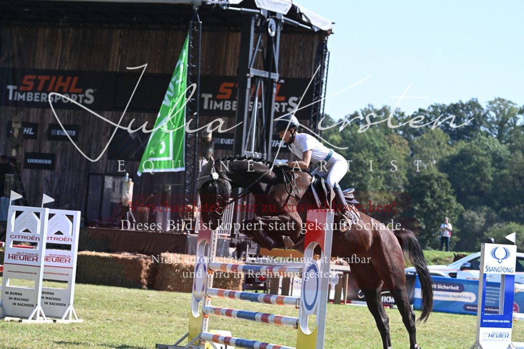 DSC_6377 | Pferde- und Turnierfotografie in Westsachsen. Pferdeportraits, Auftragszeichnungen und intuitive Kunst.