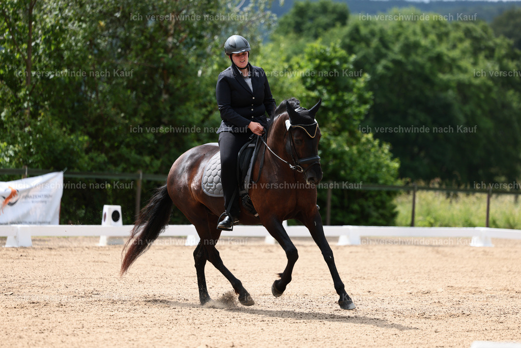 KlasseE_Stoibphotography_CAM21690.JPG | working equitationturnier fotograf videograf stoibphotography marixx film working equitation deutschland reitsport turnierfotografie eventfotografie equestrian events