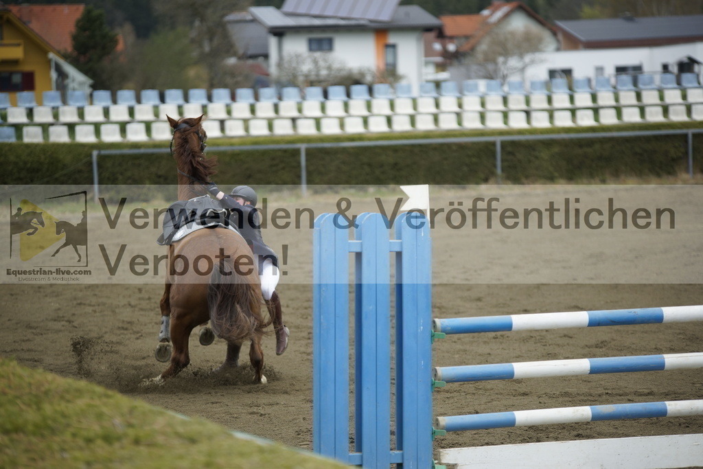 _DSC7163 | equestrian-live-com