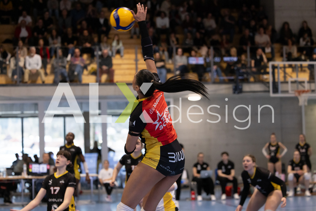 Volleyball I Frauen I Saison 2025-2026 I Volleyball NLA | Women I 1/4 Finals I  BIWI VFM - VC Kanti Schaffhausen I 01.03.2026 | 8 Letícia Bonardi (BR) (BIWI VFM) – Diagonalangriff - Realisiert mit Pictrs.com