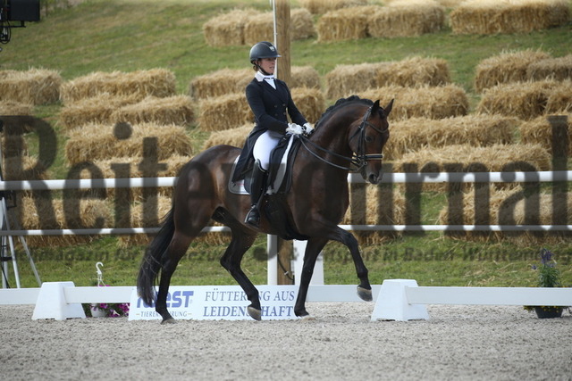 Birkhof_2022_GrandPrixSpecial_Nicole Isser_DiCaprio 4 (4) | Alle Fotos der Reiterjournal Fotografin Doris Matthaes im Reiterjournal Online-Fotoshop. - Realisiert mit Pictrs.com