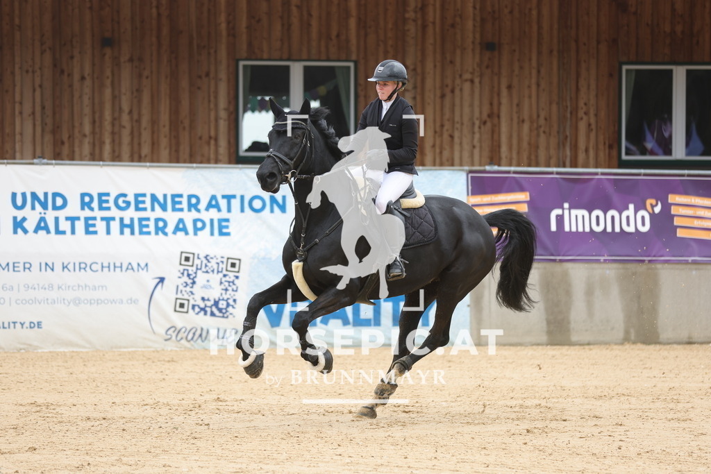 0P6A1982 | Willkommen bei Brunnmayr - Design & Fotografie – Ihrem Spezialisten für Reitturniere und Pferdeveranstaltungen in Oberösterreich, Salzburg und Bayern! Seit über 17 Jahren sind wir leidenschaftlich dabei.