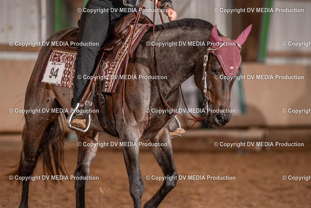 Balingen Tag 3-301 | dv-media-shop - Realisiert mit Pictrs.com