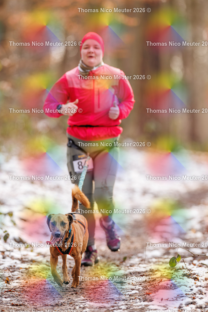 Thomas_Nico_Meuter(C)_223A9156 | Bild von Thomas Nico Meuter - Realisiert mit Pictrs.com