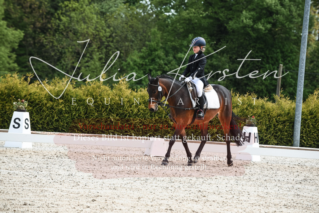 20230518_JK-Röhrsdorf-11-0183 | Pferde- und Turnierfotografie in Westsachsen. Pferdeportraits, Auftragszeichnungen und intuitive Kunst.